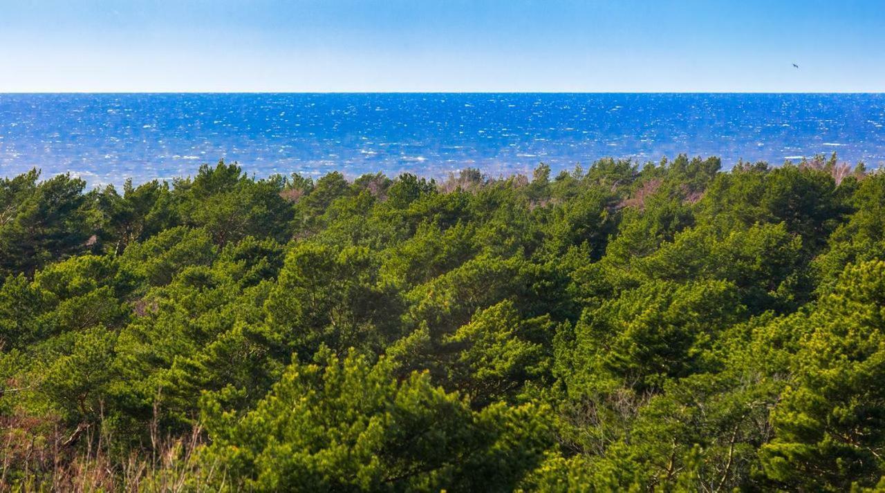 Palanga Sea View Apartment Ngoại thất bức ảnh